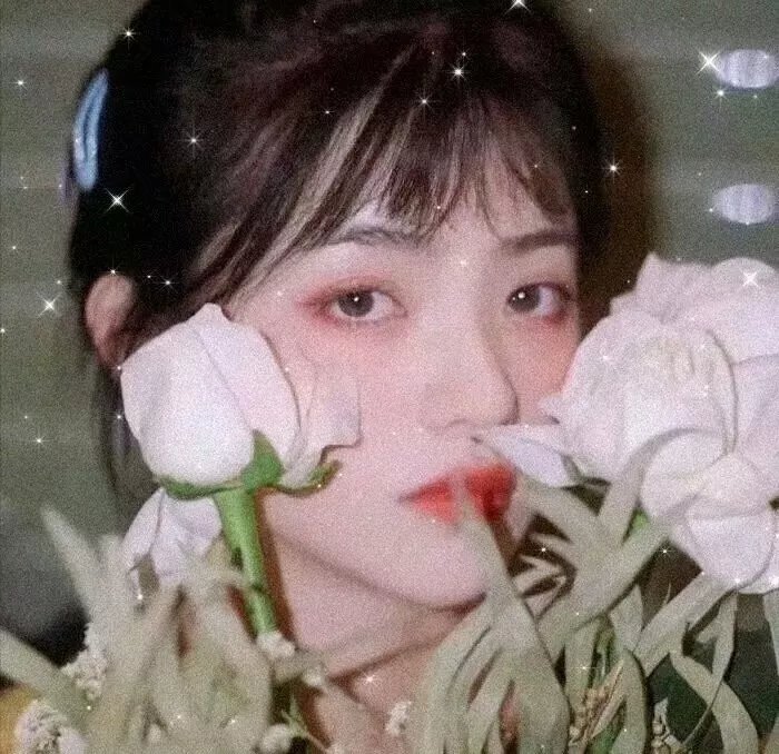秦巴之恋